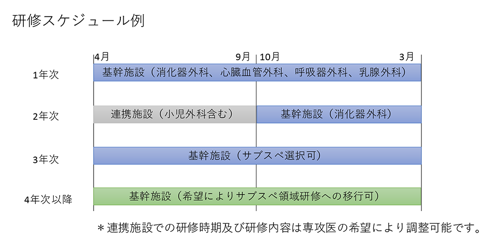 研修スケジュール例